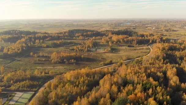 Vista a volo d'uccello di un'auto che si muove attraverso la foresta autunnale — Video Stock