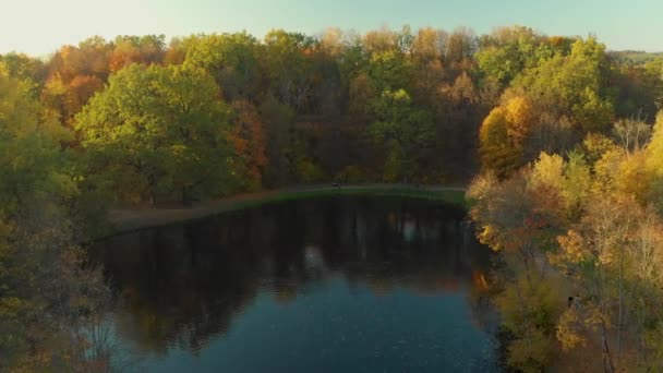 Escena de bosque colorido aéreo en otoño con follaje naranja y amarillo — Vídeo de stock