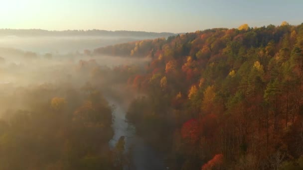 Belle scène aérienne de forêt brumeuse en automne avec un feuillage orange et jaune — Video