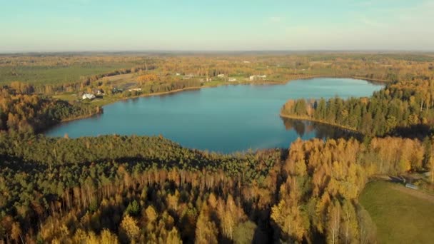 Birds-eye view of autumn forest and a small lake — Stock Video