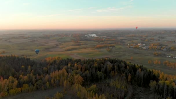 Lucht landschap met kleurrijke hete lucht ballonnen vliegen over bossen — Stockvideo