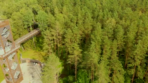 Vue aérienne des takas de Laju, sentier pédestre au sommet des arbres près d'Anyksciai — Video