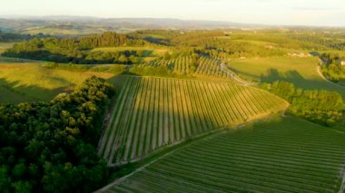Gün batımında tarlalar, üzüm bağları ve yollar ile Toskana kırsal hava manzara