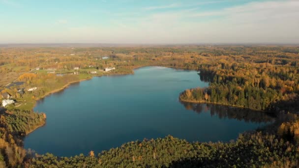 Вид с высоты птичьего полета на осенний лес и маленькое озеро — стоковое видео