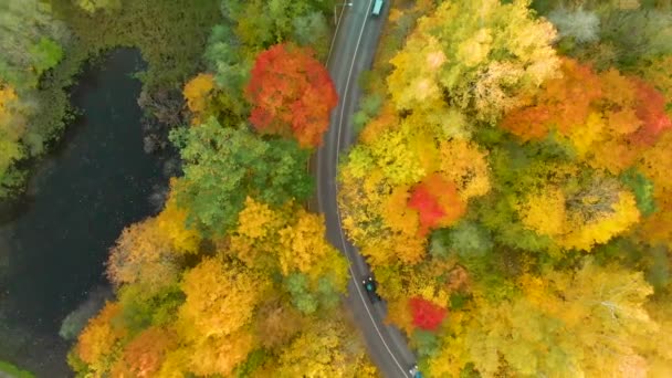 Birds Eye uitzicht op een weg met auto's langskomen in het herfst bos — Stockvideo