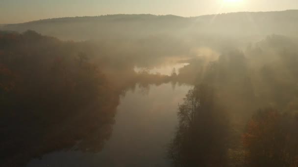 Bella scena aerea lago nebbioso in autunno con fogliame arancione e giallo — Video Stock