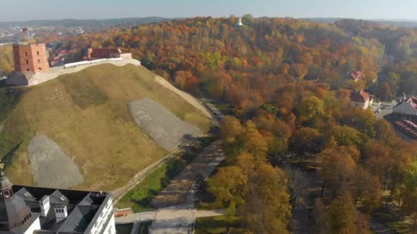 Widok z lotu ptaka na Plac Katedralny i wieżę zamkową Gediminas — Wideo stockowe