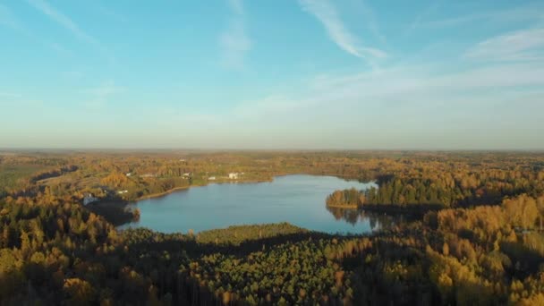 Birds-eye view of autumn forest and a small lake — Stock Video