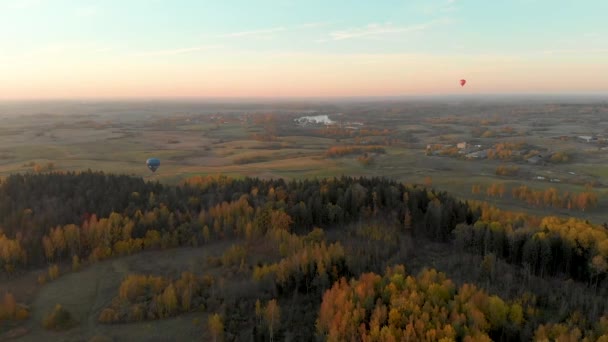 Krajobraz powietrzny z kolorowymi balonami z gorącym powietrzem latającymi nad lasami — Wideo stockowe