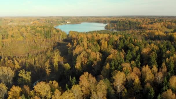 Vilnius Litvanya Yakınlarındaki Sonbaharda Renkli Orman Küçük Göl Kuş Bakışı — Stok video