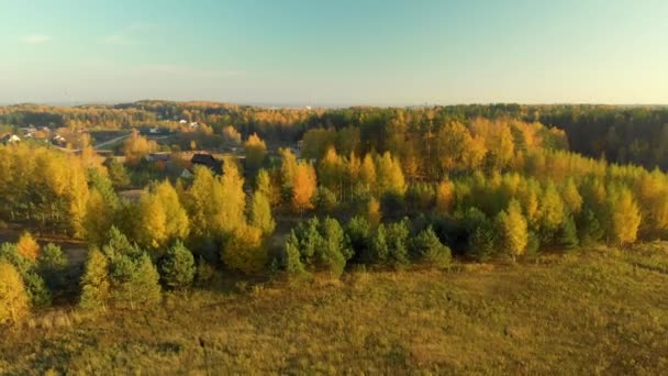 Вид з повітря на оранжеве поле під час заходу сонця — стокове відео