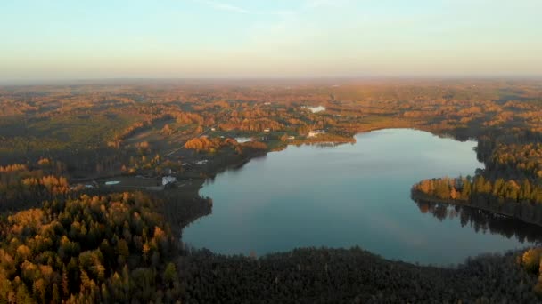 Vista Volo Uccello Della Foresta Colorata Del Laghetto Autunno Vicino — Video Stock