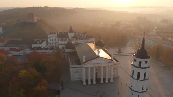 Vue Aérienne Matin Place Cathédrale Vilnius Située Croisement Des Rues — Video