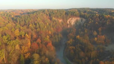 sonbahar ormanıhavadan görünümü