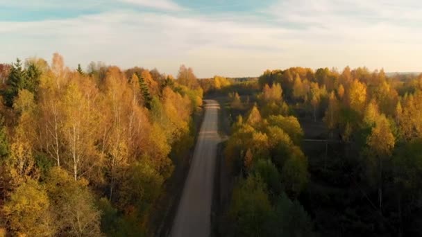 Luchtfoto Weg Het Bos — Stockvideo