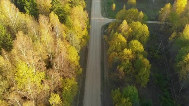 Luchtfoto Weg Het Bos — Stockvideo