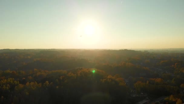 Belo Pôr Sol Floresta — Vídeo de Stock