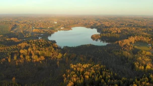Вид с высоты птичьего полета на осенний лес и маленькое озеро — стоковое видео