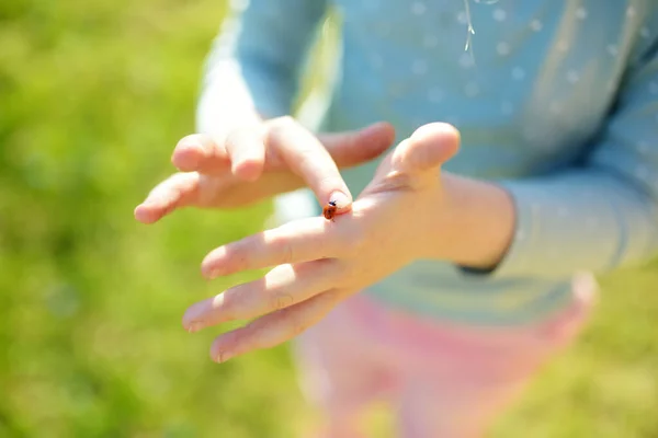Bir Uğur Böceğiyle Çocuğun Ellerine Yakın Çekim Doğayı Keşfeden Çocuk — Stok fotoğraf