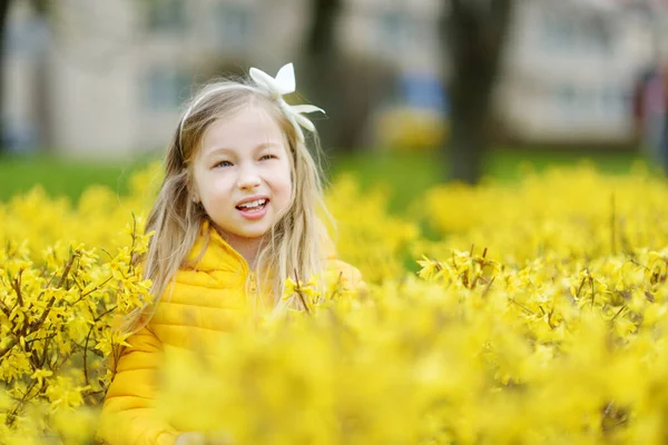 Adorable Niña Flor Arbustos Forsythia Hermoso Día Primavera Lindo Niño — Foto de Stock