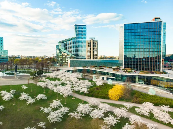 Vilnius Şehir Merkezinde Çiçek Açan Sakura Parkının Güzel Hava Manzarası — Stok fotoğraf
