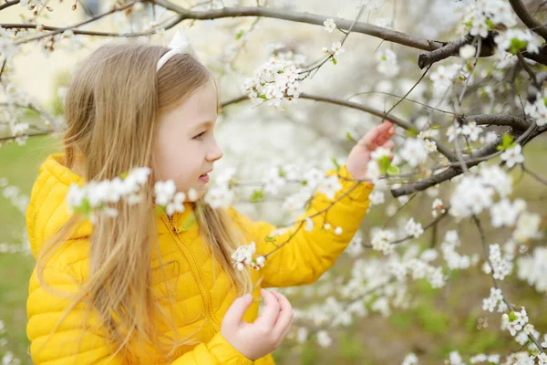 美しい春の日に咲くアップル ツリー庭で愛らしい少女 新鮮なリンゴの木の花をついばんで春かわいい子 — ストック写真