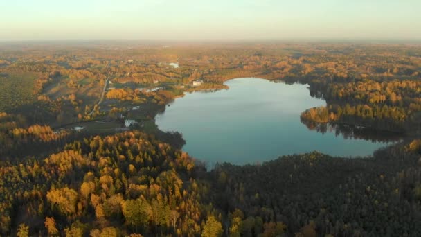 Vista a volo d'uccello della foresta autunnale e di un piccolo lago — Video Stock