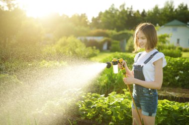Cute young girl watering flower beds in the garden at summer day. Child using garden hose on sunny day. Kid helping with everyday chores. Mommys little helper. clipart