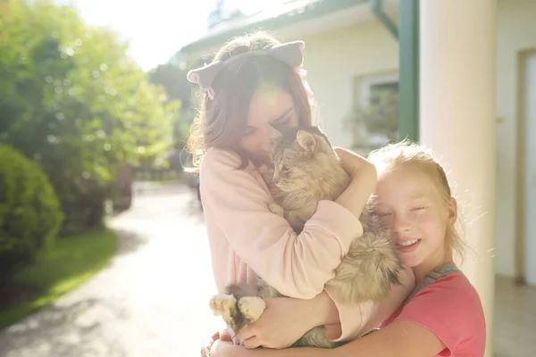 Meninas Bonitos Com Seu Gato Dia Ensolarado Verão Crianças Adoráveis — Fotografia de Stock