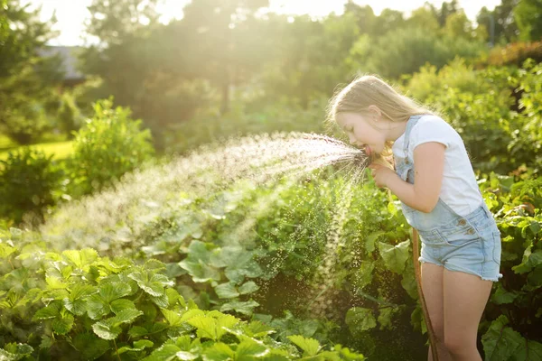 Menina Bonito Regar Canteiros Flores Jardim Dia Verão Criança Usando — Fotografia de Stock