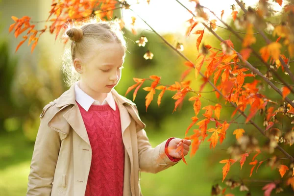 Adorable Chica Joven Divirtiéndose Hermoso Día Otoño Feliz Niño Jugando —  Fotos de Stock