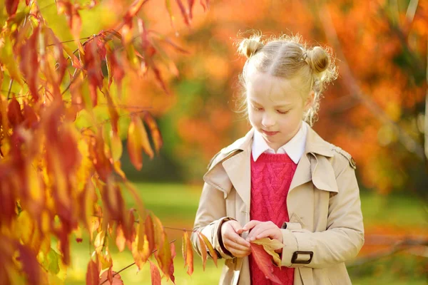 Очаровательная Молодая Девушка Веселится Прекрасный Осенний День Счастливый Ребенок Играет — стоковое фото