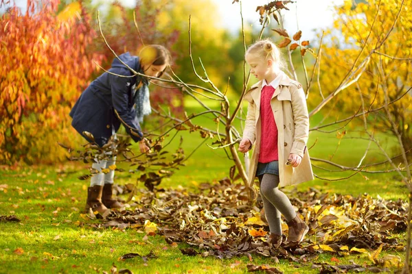 两个可爱的妹妹在美丽的秋日里玩得很开心 快乐的孩子们在秋天的公园里玩耍 收集黄色落叶的孩子 为儿童开展的秋季活动 — 图库照片