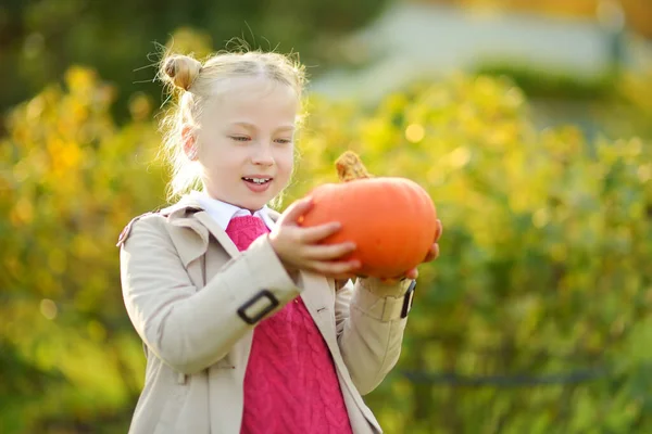 Nettes Junges Mädchen Mit Kleinem Kürbis Auf Einem Kürbisaufnäher Kinder — Stockfoto