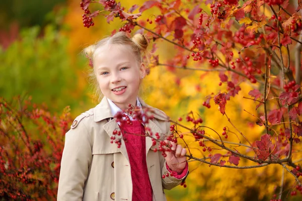 Entzückende Junge Mädchen Die Spaß Einem Schönen Herbsttag Haben Glückliches — Stockfoto