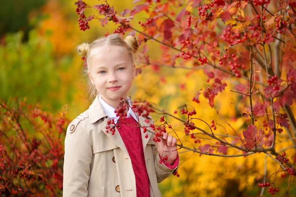 美しい秋の日に楽しんでいる愛らしい若い女の子 秋の公園で遊ぶ幸せな子供 黄色の紅葉を集める子供 子供の秋の活動 — ストック写真