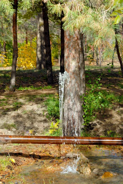 Leak of water from a crack in an old rusty pipe