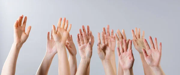 stock image Many women's hands raised up on a gray background.