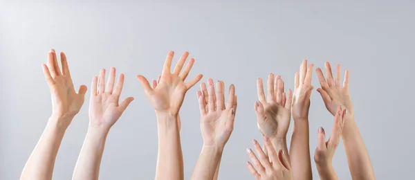 Many women\'s hands raised up on a gray background.