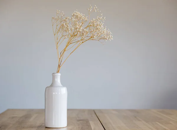 Uma Garrafa Cerâmica Branca Com Uma Flor Seca Fica Uma — Fotografia de Stock