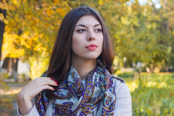 Porträt Einer Schönen Jungen Frau Vor Dem Hintergrund Der Herbstblätter — Stockfoto