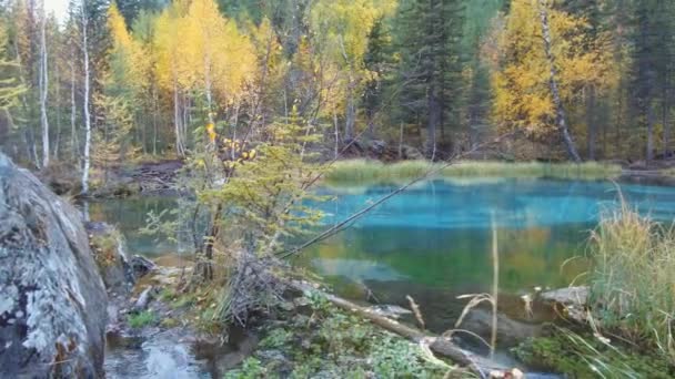 Panorama of Blue Geyser lake in Altai mountains in rainy Autumn day — Stock Footage Panorama Blue Geyser Lake Altai Mountains Rainy Autumn Day Stock Video