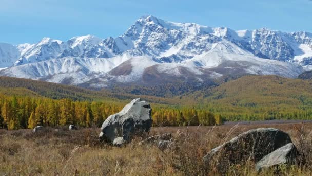 View on boulders on Altai mountain plateau Eshtykel with North Chuisky ridge with glaciers on peaks on background. Siberia, Russia — Stock Footage View Boulders Altai Mountain Plateau Eshtykel North Chuisky Ridge Glaciers Stock Footage