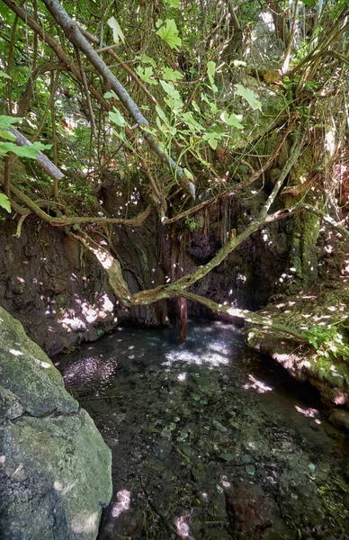 Baths of Aphrodite - the pool in the natural cave in Botanical garden