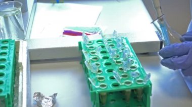 Dna testi için laboratuvar işyerinde çalışan araştırmacı
