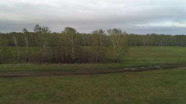 Küçük bitkiler ile tarım alanı