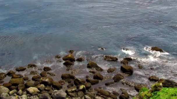 Olas cerca de la costa rocosa — Vídeo de stock