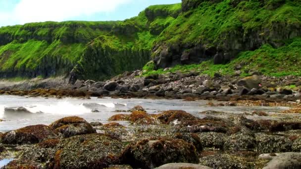 岩の多い海岸付近の波 — ストック動画