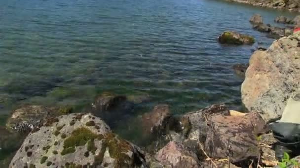 Homem Com Uma Fiação Pega Peixe Lago Contra Montanha Verde — Vídeo de Stock