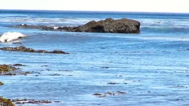 Beau paysage avec bord de mer rocheux — Video